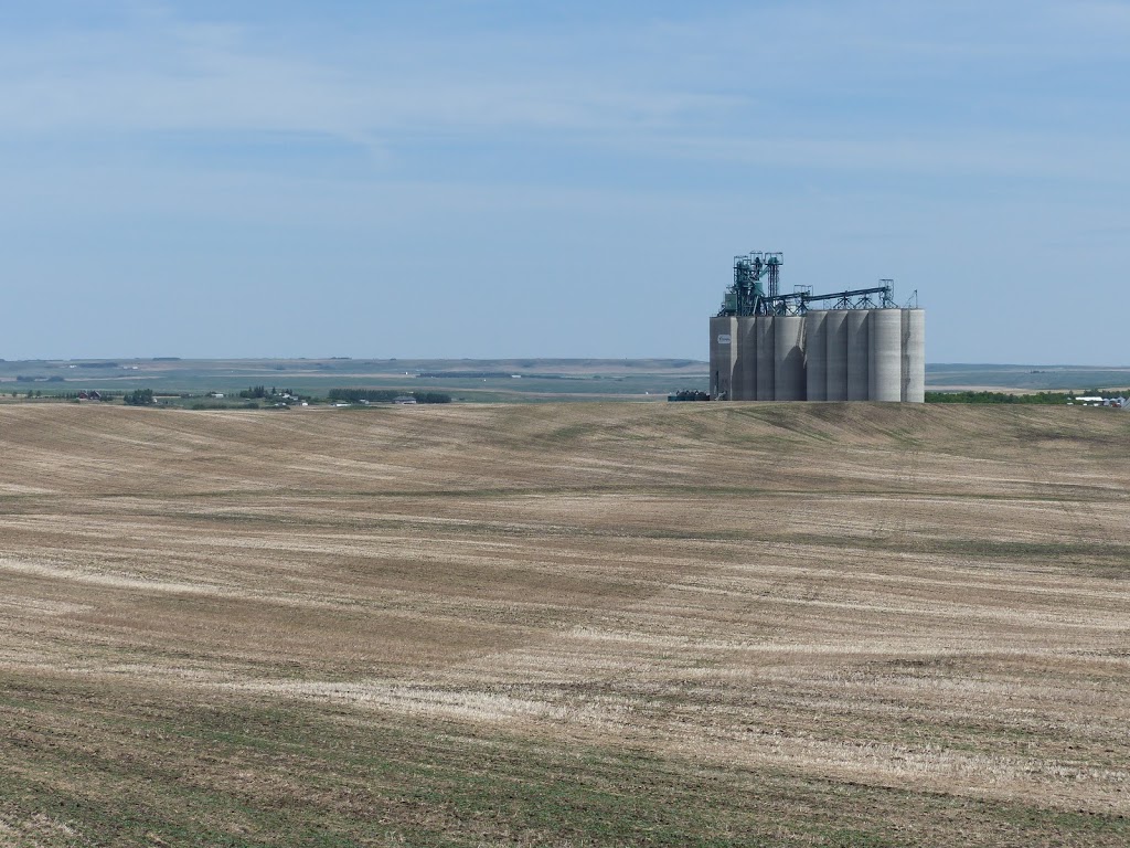 Viterra | 234044 Twp RD 330, Trochu, AB T0M 2C0, Canada | Phone: (403) 442-2372