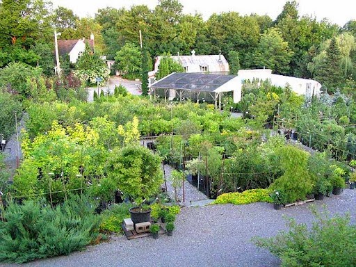 Au Jardin de Jean-Pierre inc. | 1070 1e Rang O, Sainte-Christine, QC J0H 1H0, Canada | Phone: (819) 858-2142