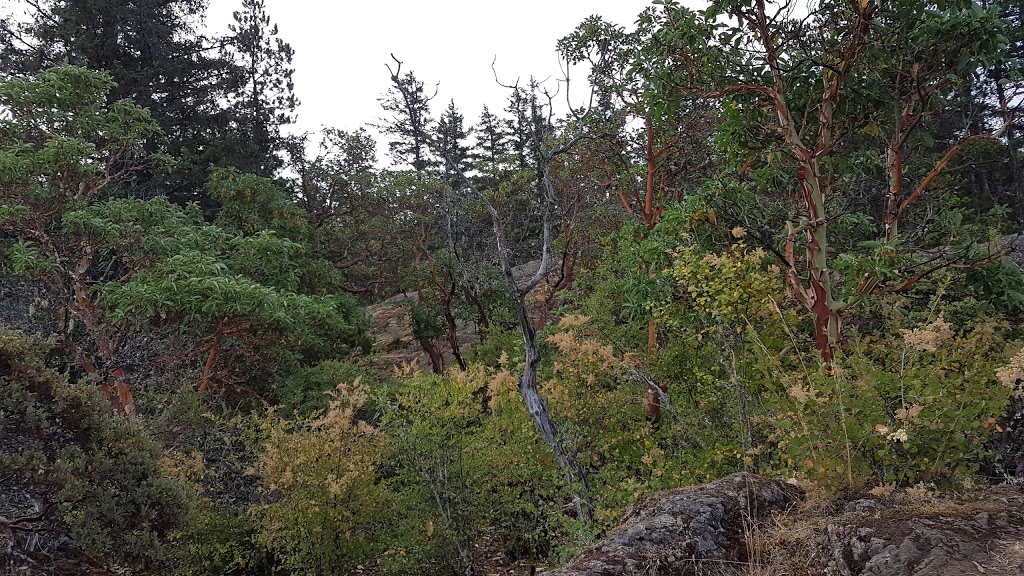 Mount Work Regional Park - Ross Durrance Road Parking Lot | Ross Durrance Rd, Victoria, BC V9E 1G8, Canada