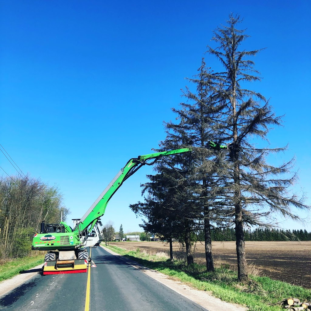 Tree Tech, Tree and Property Maintenance Specialists Inc. | 140 Clarke St, Mitchell, ON N0K 1N0, Canada | Phone: (519) 301-2058