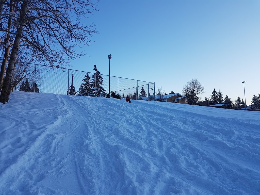 Willoughby Park Rink | 6 Willoughby Dr, St. Albert, AB T8N 3R3, Canada | Phone: (780) 459-1557