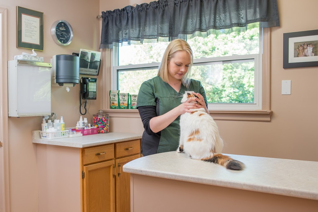 Brantford Veterinary Clinic | 277 King George Rd, Brantford, ON N3R 5L1, Canada | Phone: (519) 756-2390