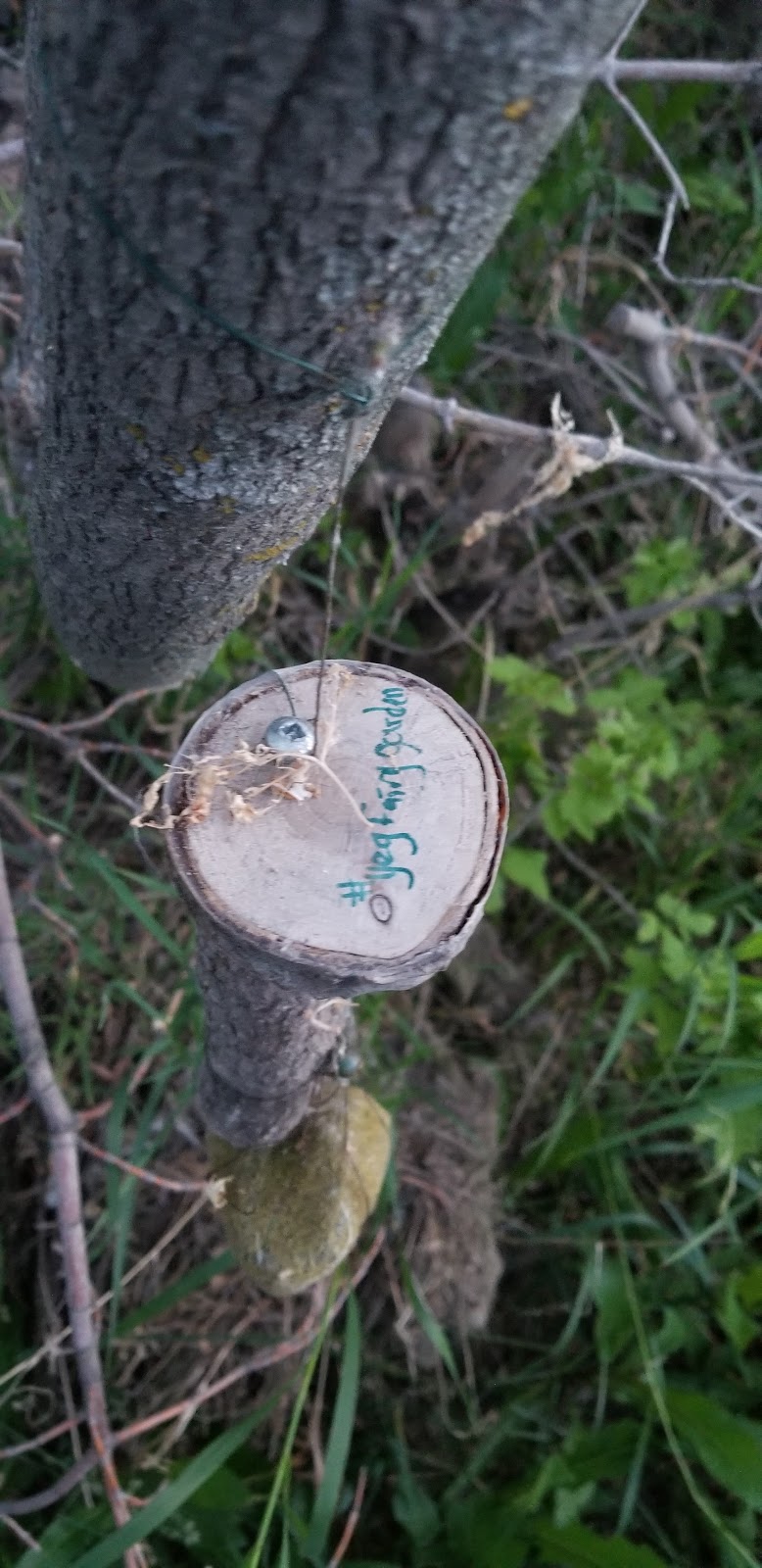 Fairy Ring Trail | Unnamed Road, Edmonton, AB T6A 0B2, Canada