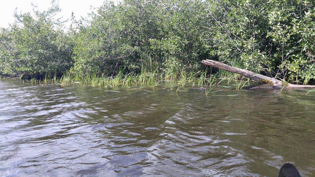 Réserve naturelle Quilliams-Durrull | Lac-Brome, QC J0E 1R0, Canada