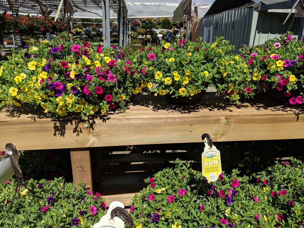 Crawfords Garden Centre | 8689 5 Sideroad, Milton, ON L9T 2X7, Canada | Phone: (905) 878-0223