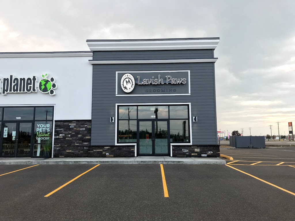 Lavish Paws Grooming | Leva Ave, Alberta T4E 1B9, Canada | Phone: (403) 406-4747