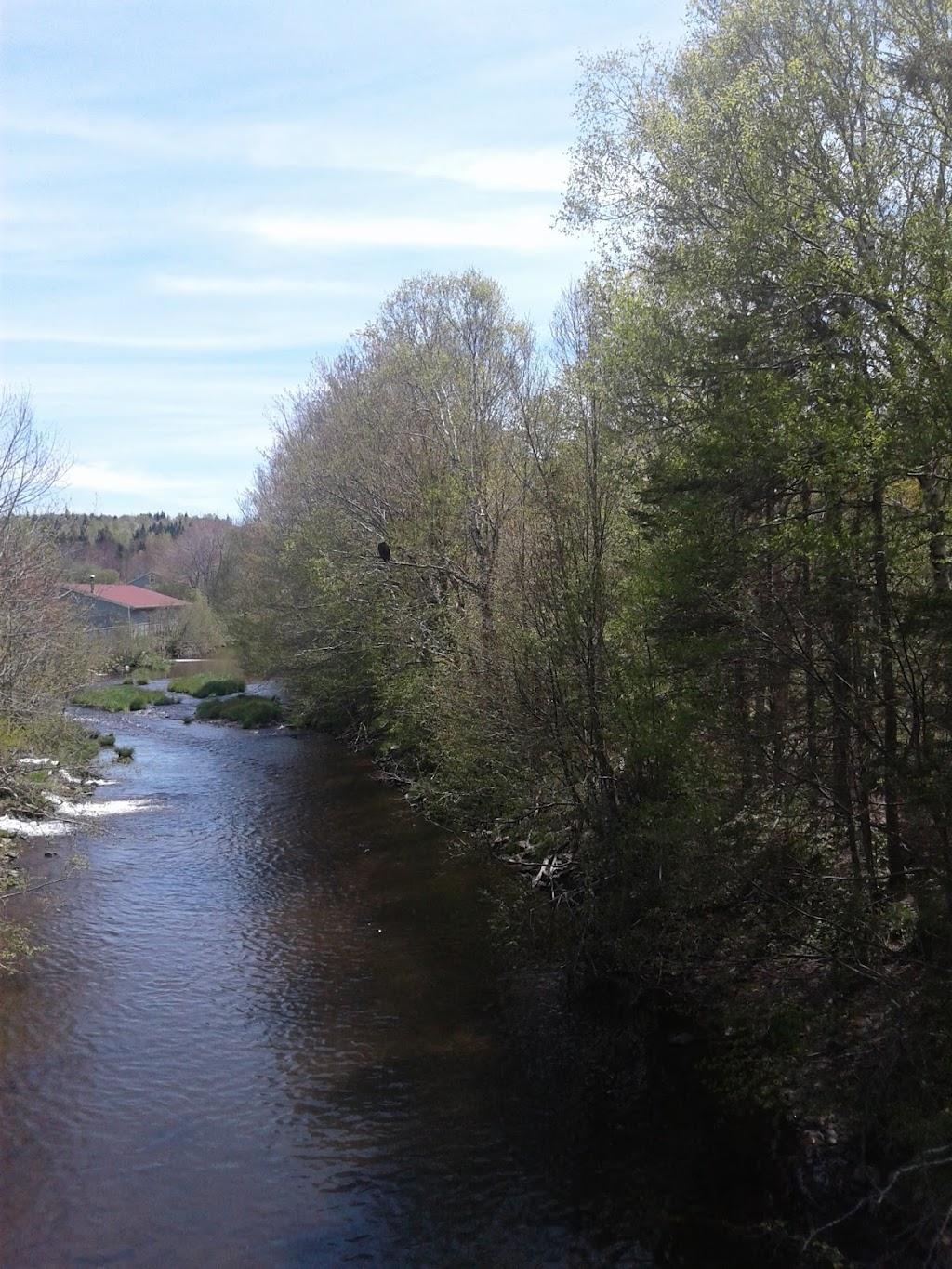 Frasers Mills Fish Hatchery | 1158 Old Pinevale Rd, Saint Andrews, NS B0H 1X0, Canada | Phone: (902) 783-2926