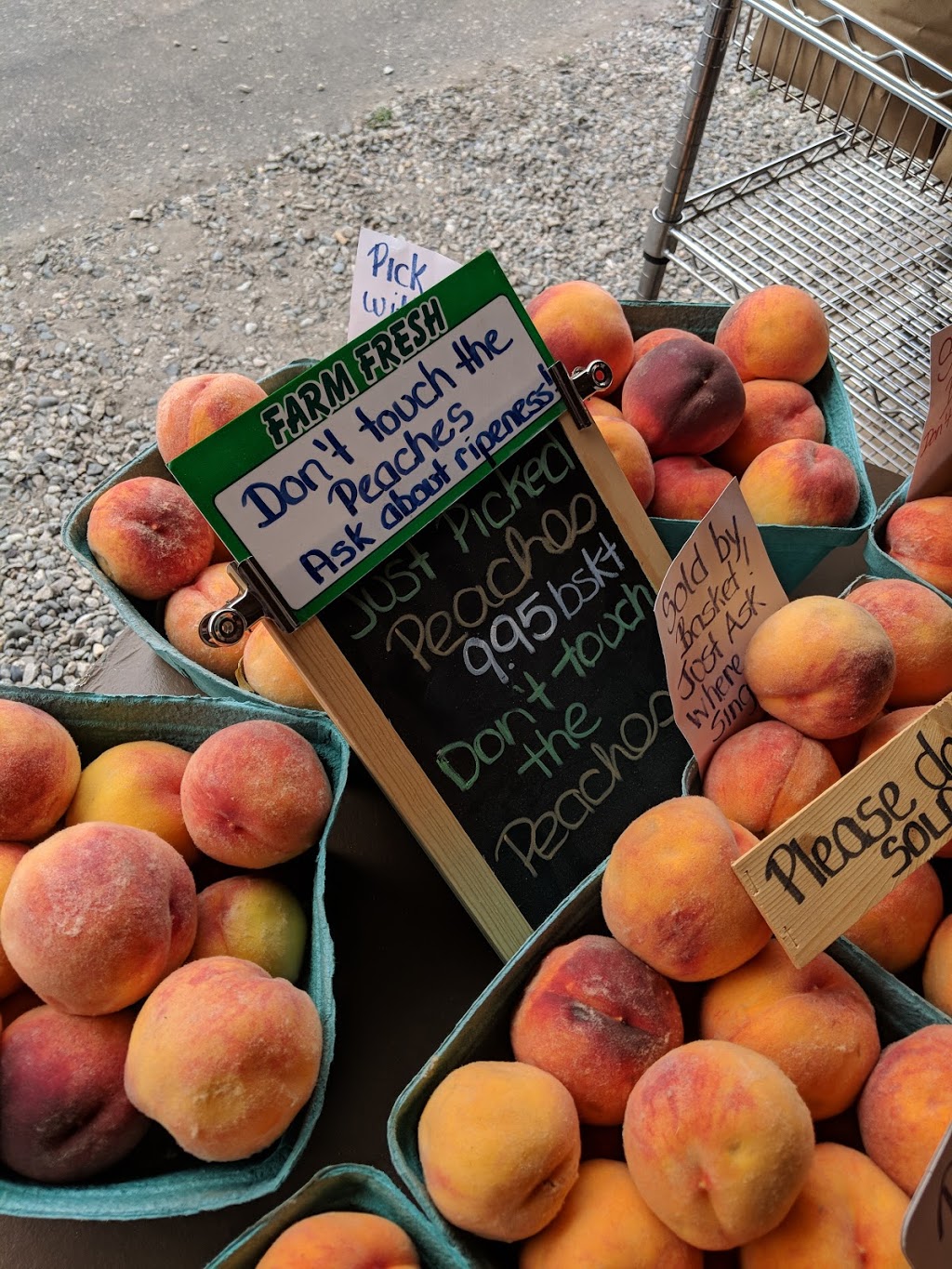 Little Acre Fruit Stand | Okanagan-Similkameen F, BC V0H, Canada