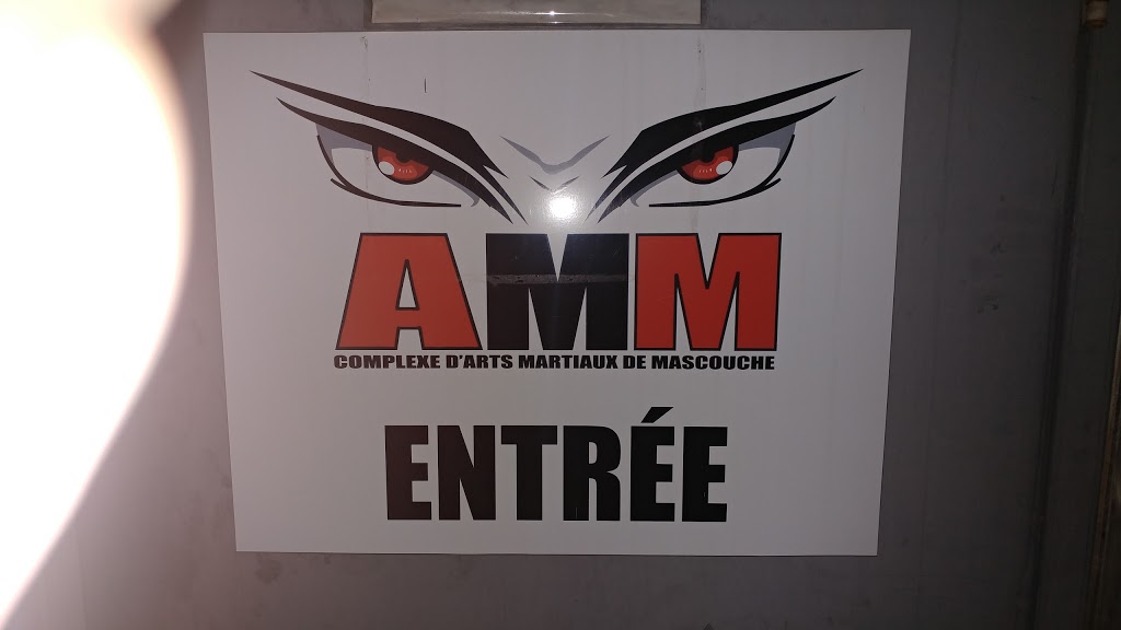 Kmc Amm Complexe Darts Martiaux De Mascouche | 1282 Avenue de la Gare, Mascouche, QC J7K 2Z2, Canada | Phone: (450) 417-3999