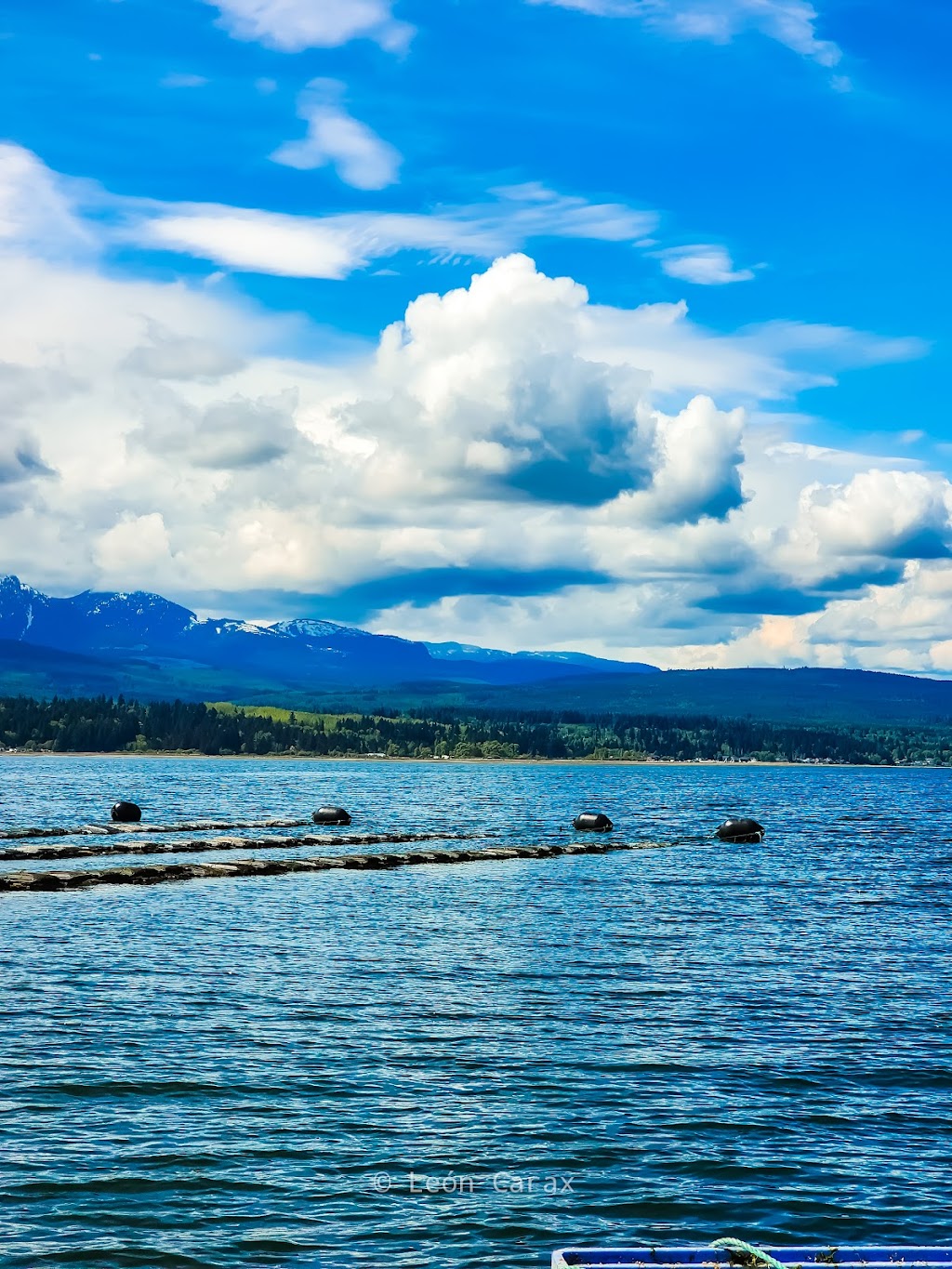 Fanny Bay Oysters | 8260 Island Hwy S, Fanny Bay, BC V0R 1W0, Canada | Phone: (250) 335-0125