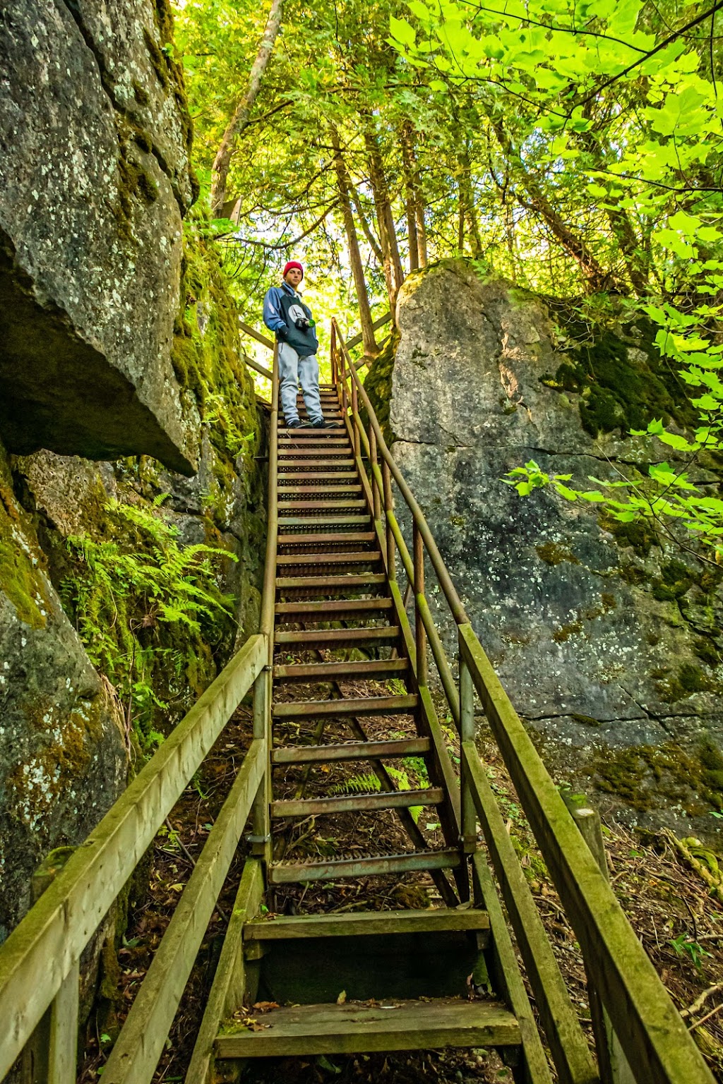 Greig`s Caves | 407 Scenic Caves Rd, Lions Head, ON N0H 1W0, Canada | Phone: (519) 377-8762