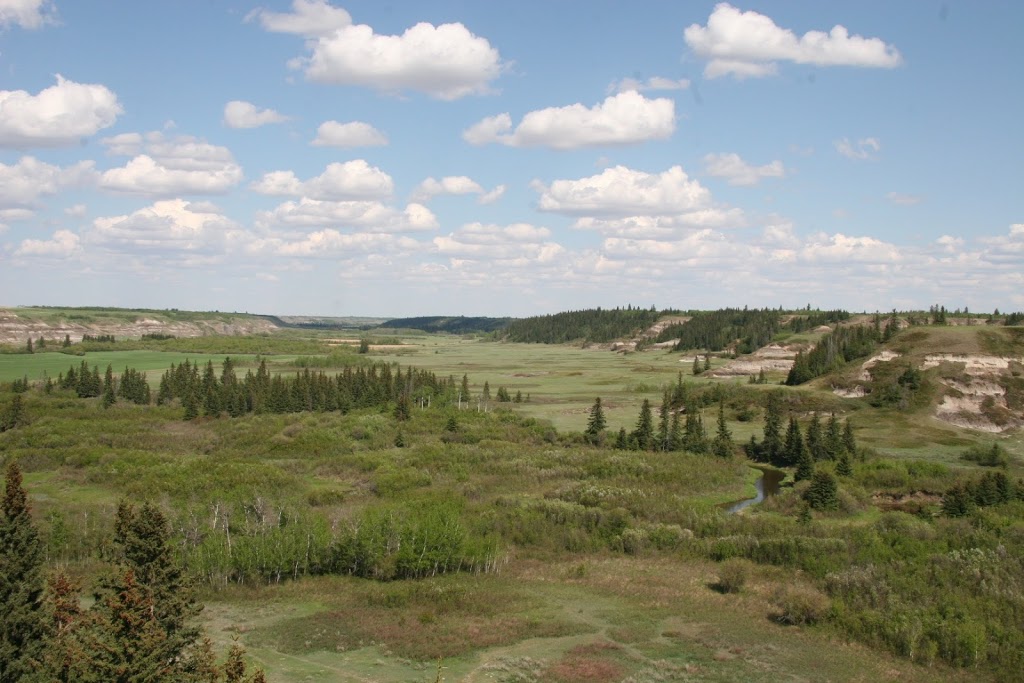 LaPrairieaire EcoTourism | RR1, Donalda, AB T0B 1H0, Canada | Phone: (403) 860-1313