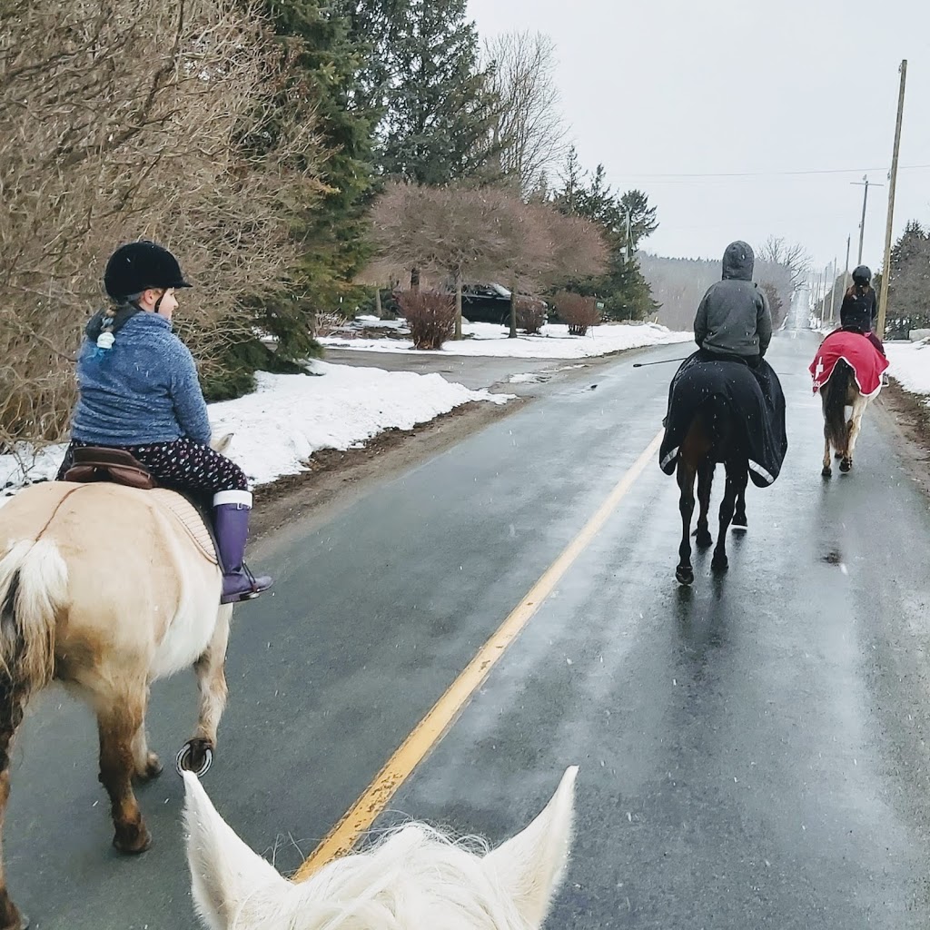 Hopewell Creek Stables | 1158 Forester Rd, Breslau, ON N0B 1M0, Canada | Phone: (519) 648-9975