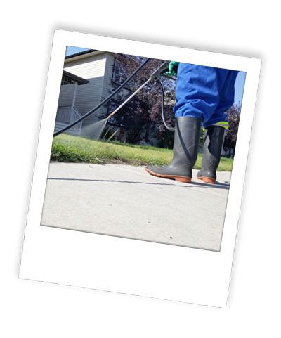 Green Guard Lawn Fertilization & Weed Control | 18380 Chaparral St SE, Calgary, AB T2X 3K9, Canada | Phone: (403) 990-0885