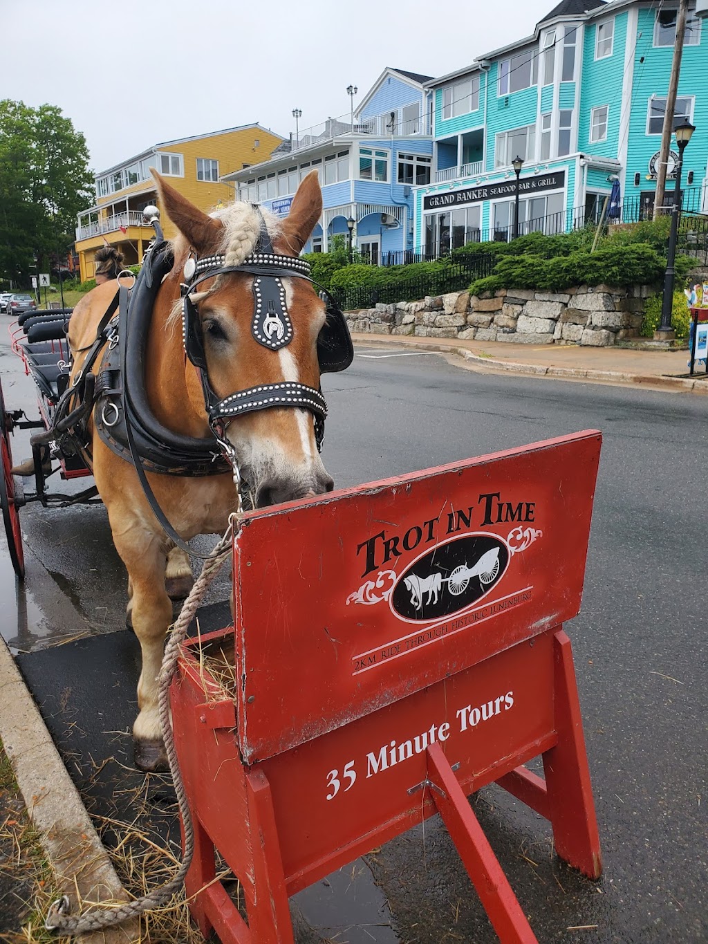 Trot in Time Carriage Tours | 72 Bluenose Dr, Lunenburg, NS B0J 2C0, Canada | Phone: (902) 298-5523