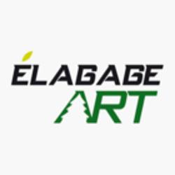 Élagage Art | 202 Rue Archambeault, Alma, QC G8B 7P7, Canada | Phone: (418) 321-3686