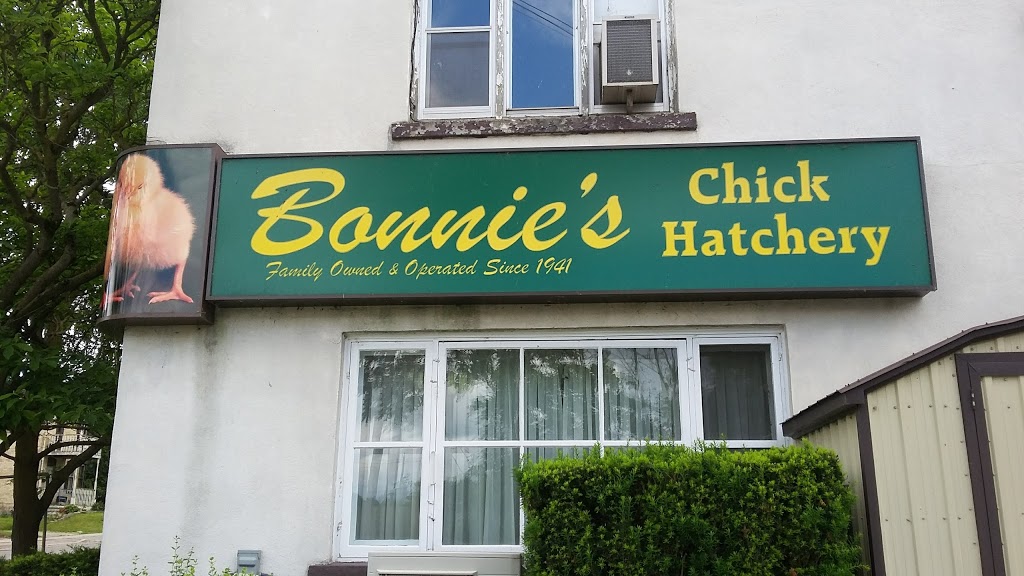 Bonnies Chick Hatchery Ltd | 18 Arthur St N, Elmira, ON N3B 1Z7, Canada | Phone: (519) 669-2561