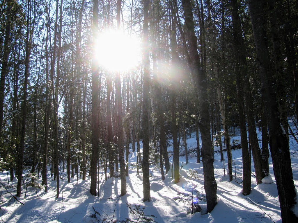 Sentiers de lAmitié | Avenue de lAmitié, Chertsey, QC J0K 3K0, Canada