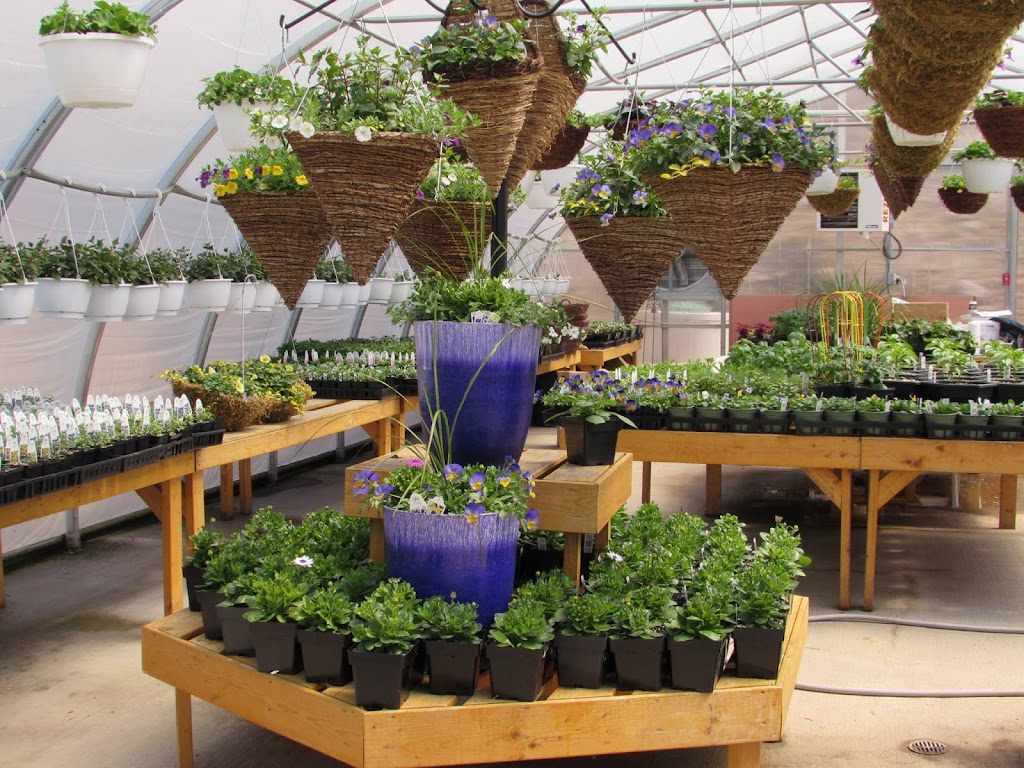 Thextons Greenhouses | 9543 Nova Scotia Trunk 8, Annapolis Royal, NS B0S 1A0, Canada | Phone: (902) 532-2403