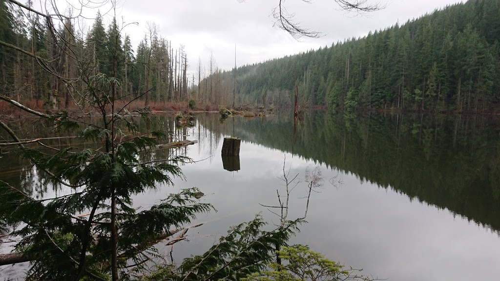 Horseshoe Trail | Horseshoe Trail, Anmore, BC V3H 4Y7, Canada