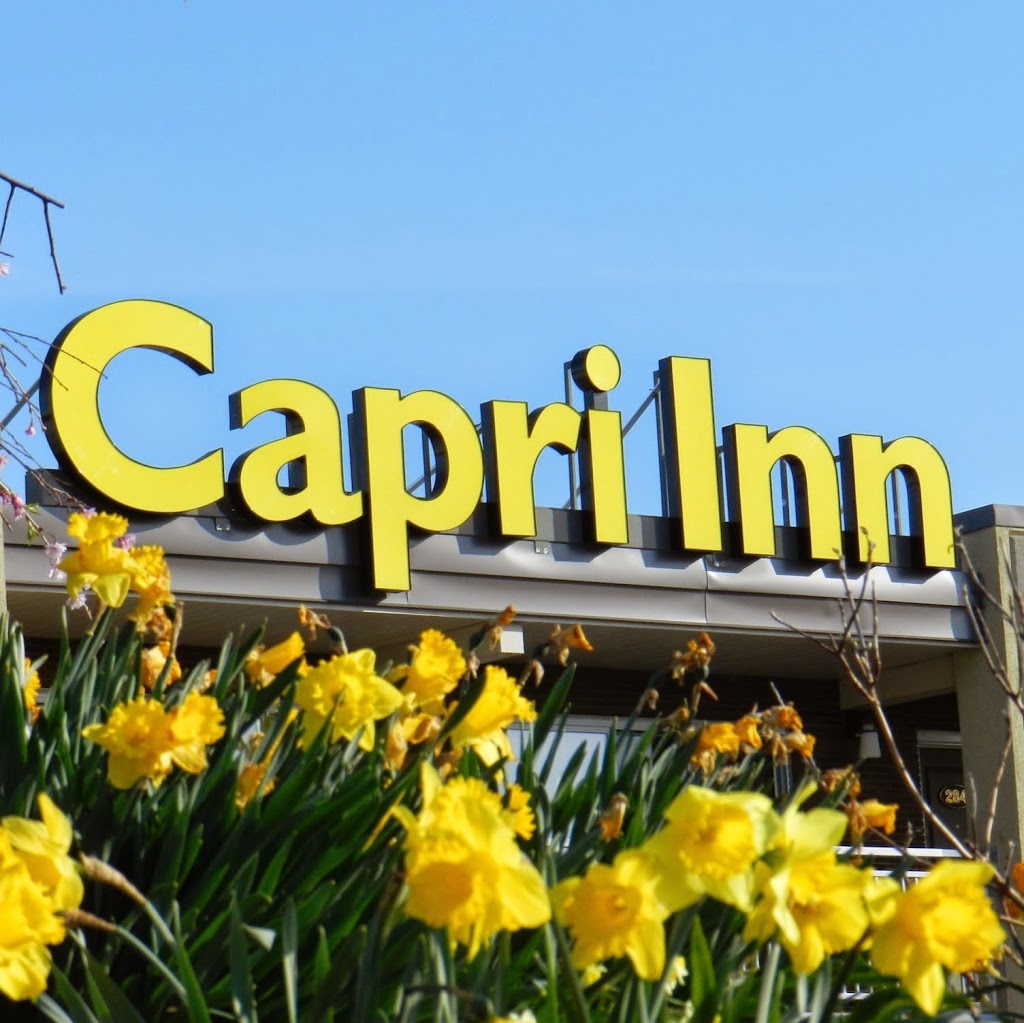 Capri Inn | 391 Ontario St, St. Catharines, ON L2R 5L3, Canada | Phone: (905) 684-8515