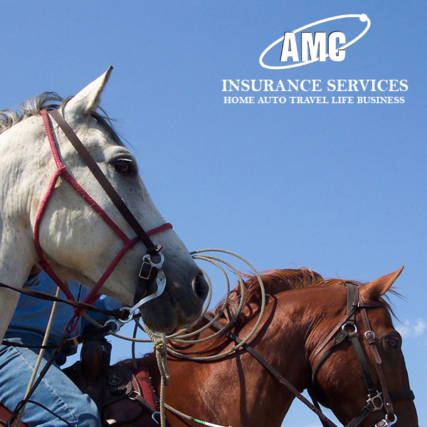 AMC Insurance | 134 - 17455 56 Ave (Hwy 10), Surrey, BC V3S 2X6, Canada | Phone: (604) 229-1374
