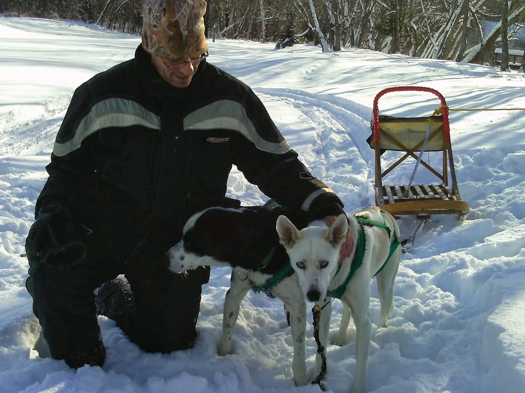 Escapade Canin Laurentides/Outaouais | 47 Chemin du Chenail du Moine, Lac-des-Plages, QC J0T 1K0, Canada | Phone: (819) 430-6627