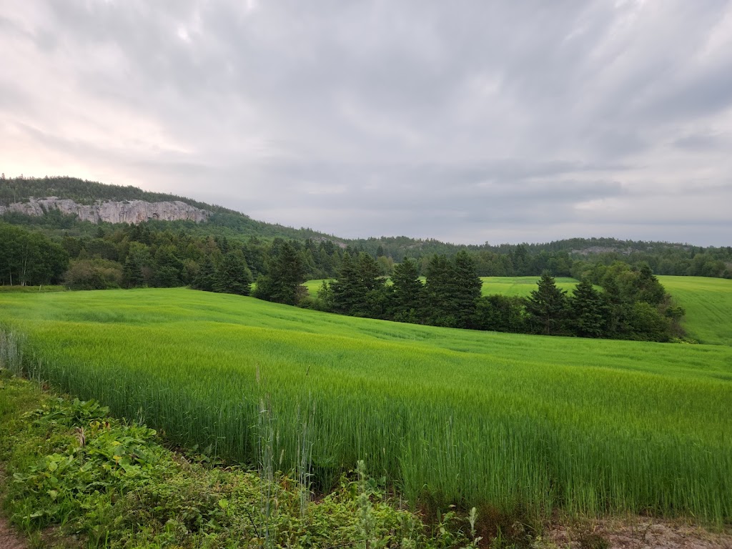 Ferme FM Levesque | 164 Rang du Mississipi, Saint-Germain, QC G0L 3G0, Canada | Phone: (418) 492-1541