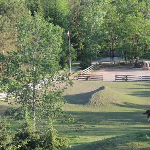 Springhill mtn Stables | 3079 Perth County Rd 180, Staffa, ON N0K 1Y0, Canada | Phone: (519) 345-2244