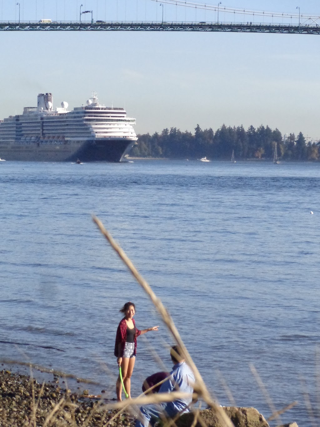 Ambleside Dog Beach | Burrard Inlet, BC, Canada