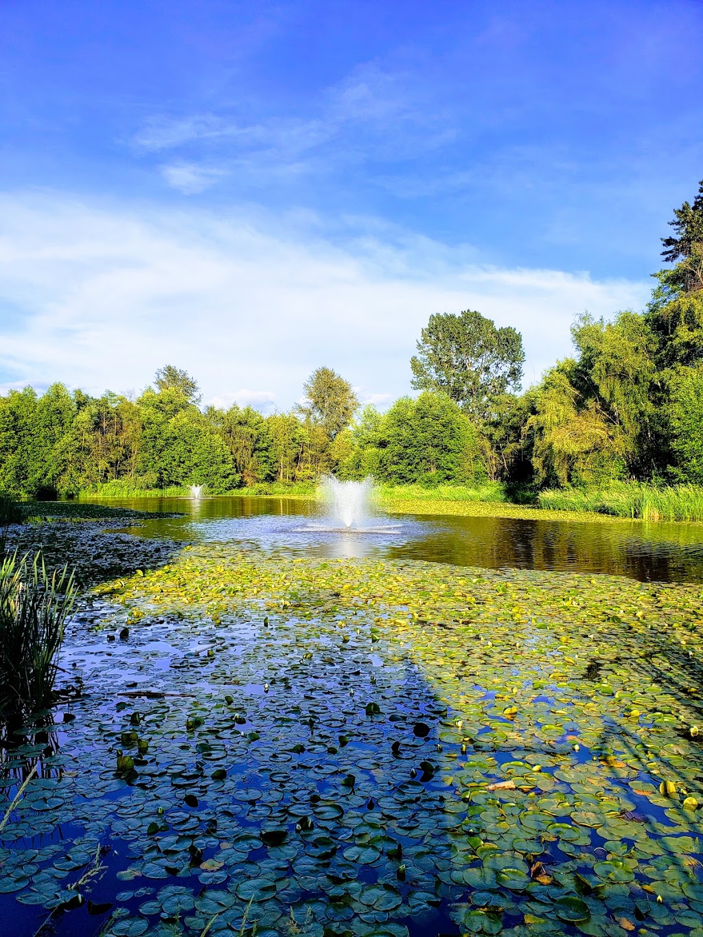 Garden City Community Park and Arboretum | 6620 Garden City Rd, Richmond, BC V6Y 1T6, Canada | Phone: (604) 276-4000