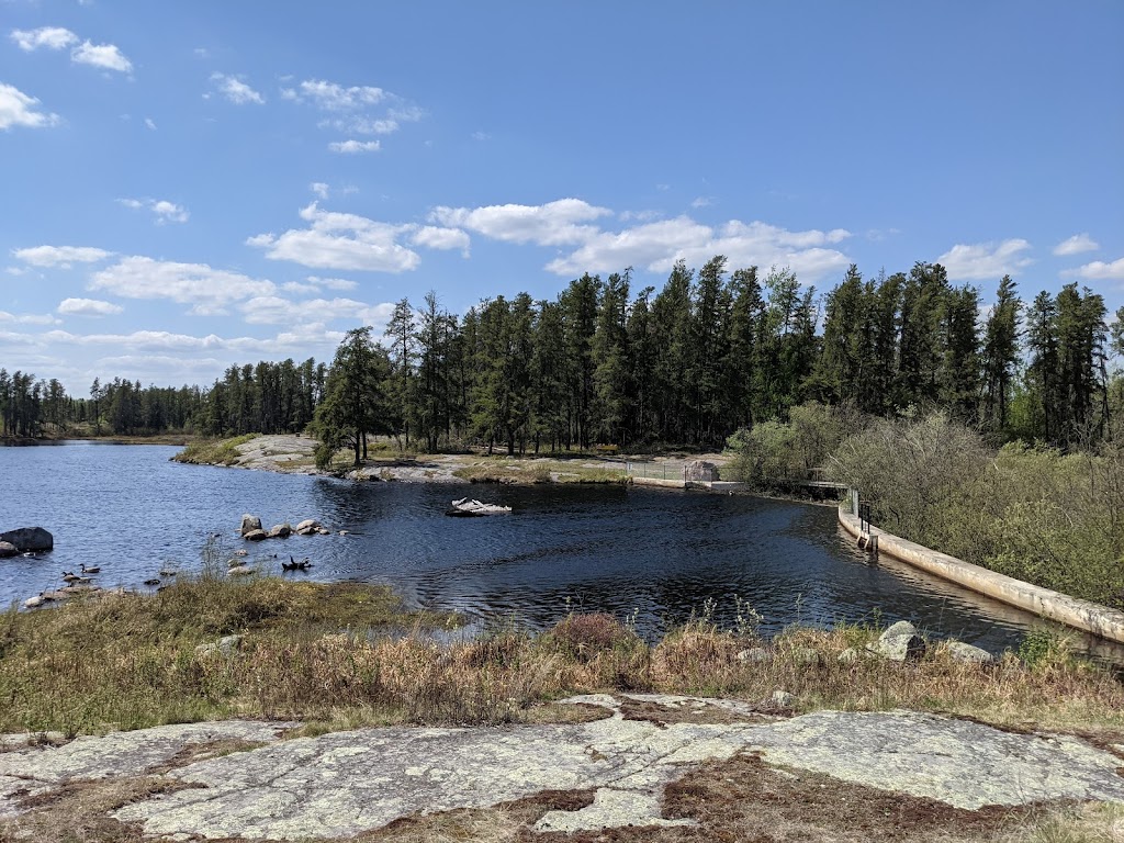 Alfred Hole Goose Sanctuary & Visitor Centre | Provincial Trunk Hwy 44, Rennie, MB R0E 1R0, Canada | Phone: (204) 369-3157