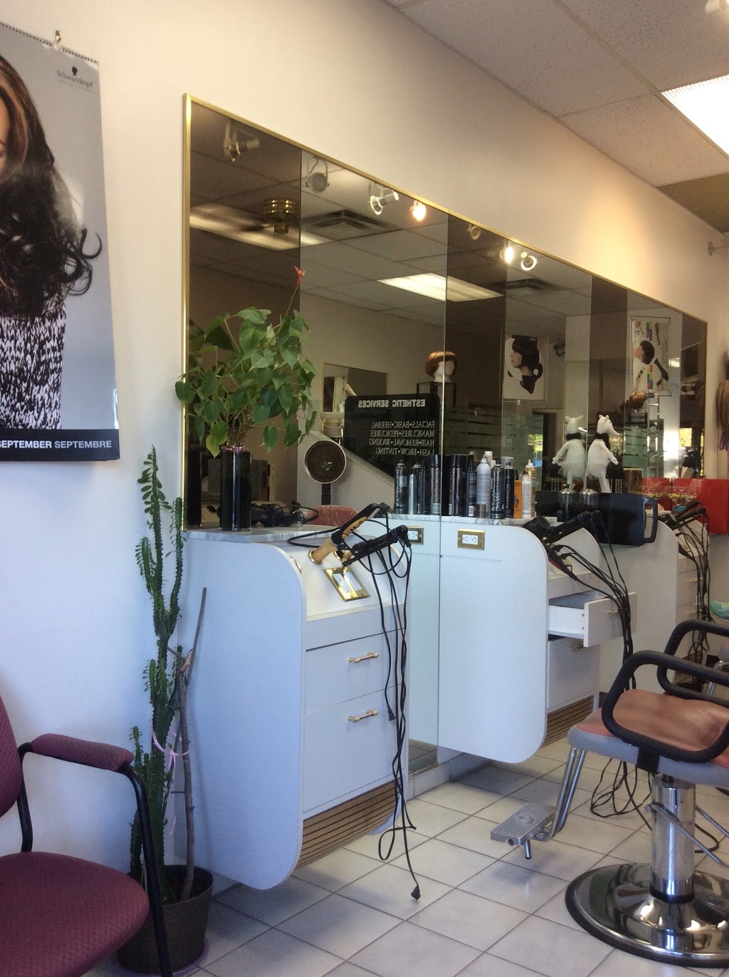 Sylvias Coiffure | 1123 Albion Rd, Etobicoke, ON M9V 1A9, Canada | Phone: (416) 744-6647