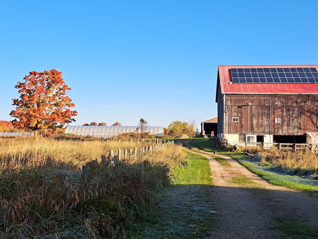 Simple Riches Organic Farm | 503781, Grey Rd 12, Markdale, ON N0C 1H0, Canada | Phone: (226) 568-1403