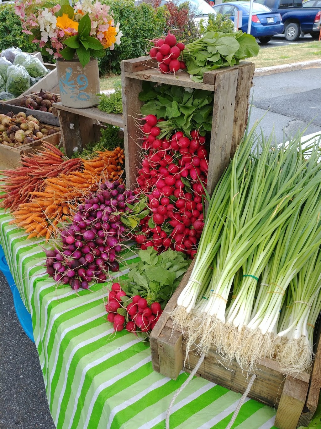 Les Jardins de Massueville | 201 rang bord de leau, Saint-Aimé, QC J0G 1K0, Canada | Phone: (450) 808-4248