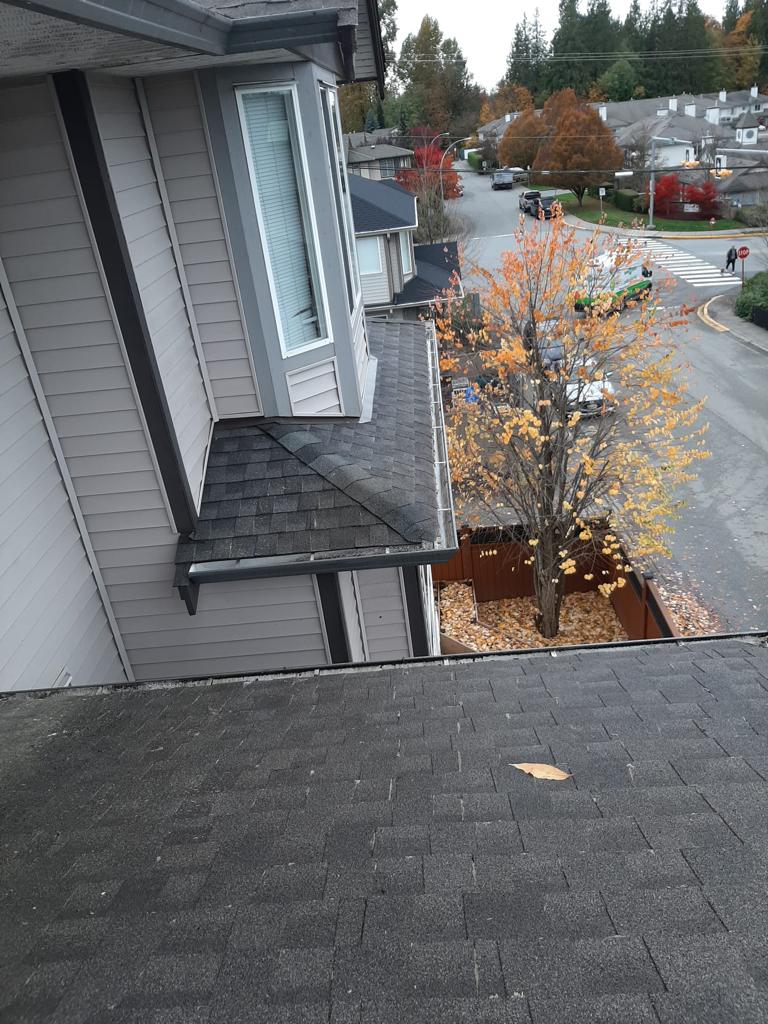 Albertus Josef Exterior Cleaning | 4656 218a St, Langley Twp, BC V3A 8H8, Canada | Phone: (604) 782-1785