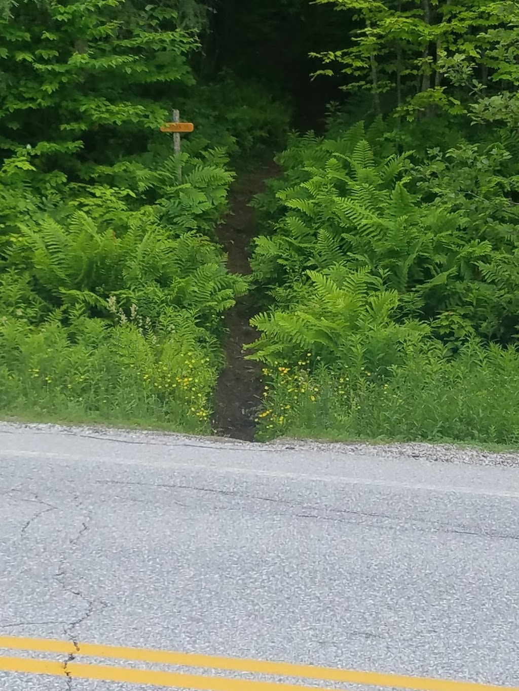 Devils Gulch | Long Trail, Eden, VT 05652, USA