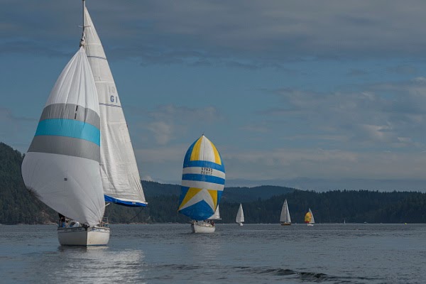 Maple Bay Yacht Club | 6337 Genoa Bay Rd, Duncan, BC V9L 5Y4, Canada | Phone: (250) 746-4521