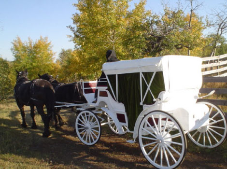 Longriders Wagon Rides and Sleigh Rides Edmonton | 23136 Secondary Highway 643, Gibbons, AB T0A 1N0, Canada | Phone: (780) 203-2122