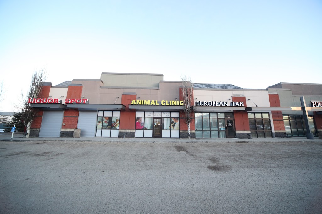 Terra Losa Animal Clinic | 17248 95 Ave NW, Edmonton, AB T5T 6P1, Canada | Phone: (780) 484-1178