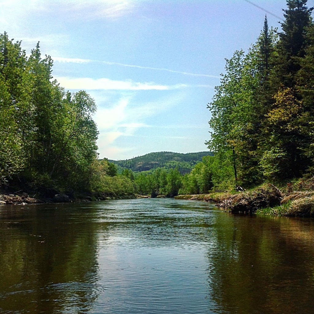 La Chouette Virée | 81 QC-138, Grandes-Bergeronnes, QC G0T 1G0, Canada | Phone: (581) 324-0535