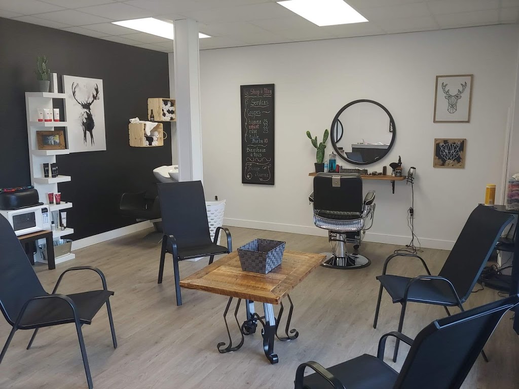 La shop à Meg | 6425 Chemin de Saint-Élie, Sherbrooke, QC J1R 0P6, Canada | Phone: (819) 481-1516