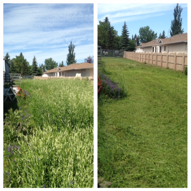 Magenta Progreen Landscape | 7751 16 St NW, Edmonton, AB T6P 1M1, Canada | Phone: (780) 462-4282