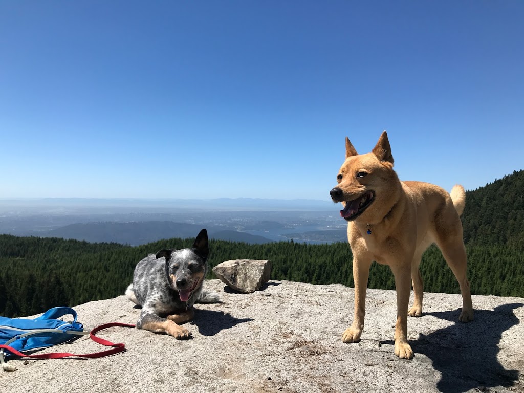 White Rock Viewpoint | 49, 343287, 122, 820595, Coquitlam, BC N0K 1X0, Canada