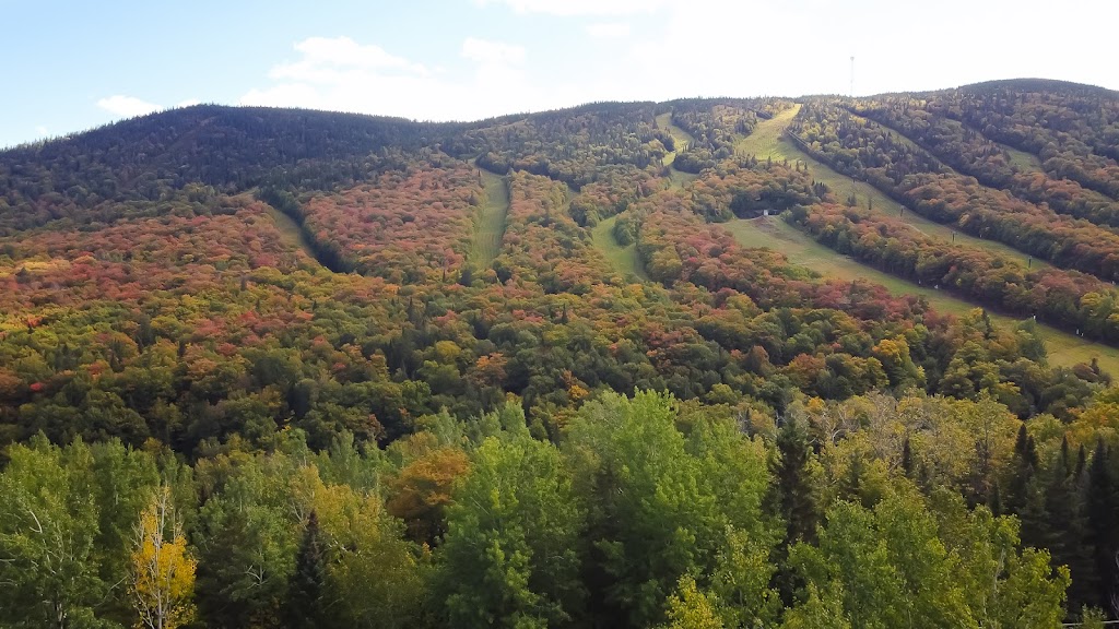 Chalet Boisé du Midi 66 | 66 Rue de la Vallée, Saint-Philémon, QC G0R 4A0, Canada | Phone: (800) 319-3934