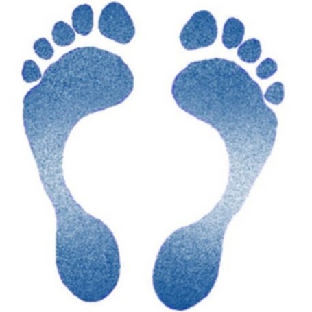 Hamilton Orthotic Centre - Premier Foot & Wellness Centre | 1050 Upper James St, Hamilton, ON L9C 3A9, Canada | Phone: (905) 385-2589