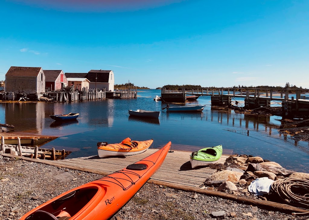 Seaweed Tours Lunenburg N.S. | 60 Bluenose Dr, Lunenburg, NS B0J 2C0, Canada | Phone: (902) 529-1052