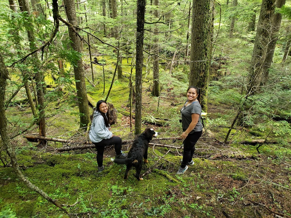 Gorge Creek Waterfall | British Columbia V0E 2J0, Canada | Phone: (250) 838-4825