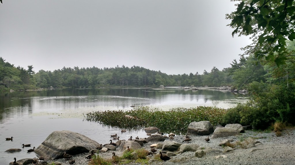 Frog Pond Park | Purcells Cove Rd, Halifax, NS B3P, Canada