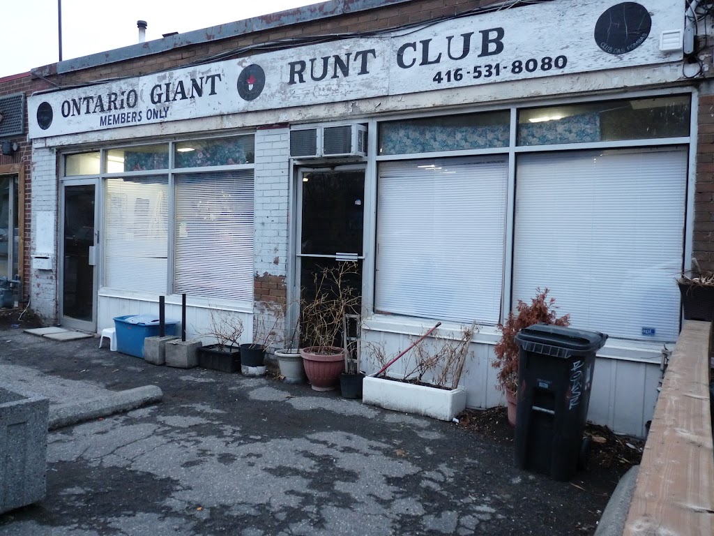 Ontario Giant Runt Club | 615 Brock Ave, Toronto, ON M6H 3P1, Canada | Phone: (416) 531-8080